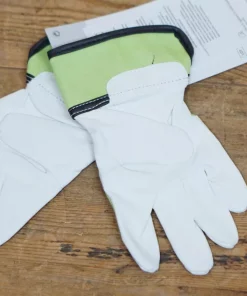 gallery-369-for-100261