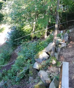 gallery-562-for-100336