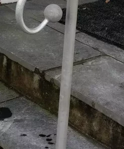 gallery-278-for-100369