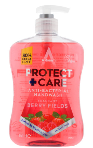Astonish Protect+Care Berry Fields Antibac Handwash 650ml