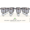 Rowan Colour Solar Stake Light