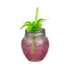 Summer Essentials Strawberry Mason Jar w/Straw 400ml