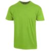 T-SKJORTE CLASSIC BARN LIME