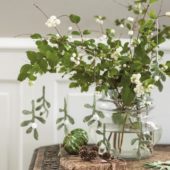 gallery-19747-for-105362