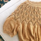 gallery-21902-for-241657