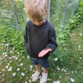 gallery-22054-for-241659