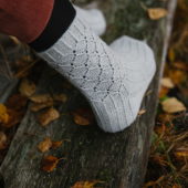 gallery-23283-for-107456