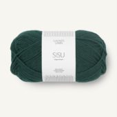 Sisu 7281 Dyb Petrol