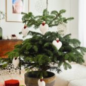 gallery-27343-for-108996