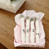 gallery-27354-for-108996