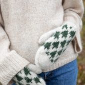 gallery-31084-for-110261