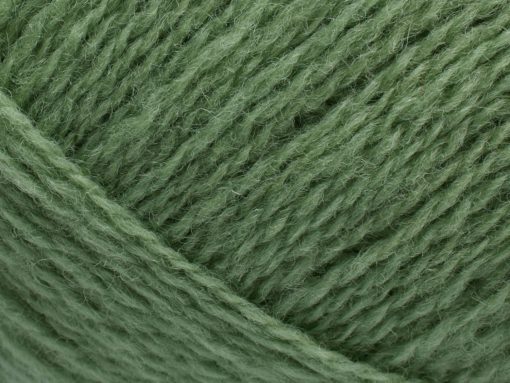 Saga 123 Lichen