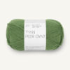 Tynn Peer Gynt 8753 Vineyard Green