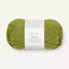 PK Atlas Matcha 9564