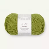 PK Atlas Matcha 9564