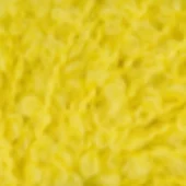 Teddy Dear 814 Citronkram