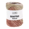 Quattro Degrade 17