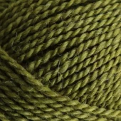 Mashdale Sorrel 210