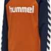 Hummel Genser HMLBOYS Mini Bombay Brown