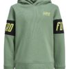 Jack & Jones Hettegenser JCOUP BLOCK HOOD Loden Frost