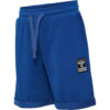 Hummel Shorts Mini HMLTYLER Navy Peony