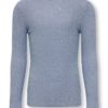 Only Genser KOGEVA LS HIGHNECK SHINE TOP Grapemist/Silver