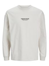 Jack & Jones Genser JORVESTERBRO TEE LS CREW NECK Moonbeam