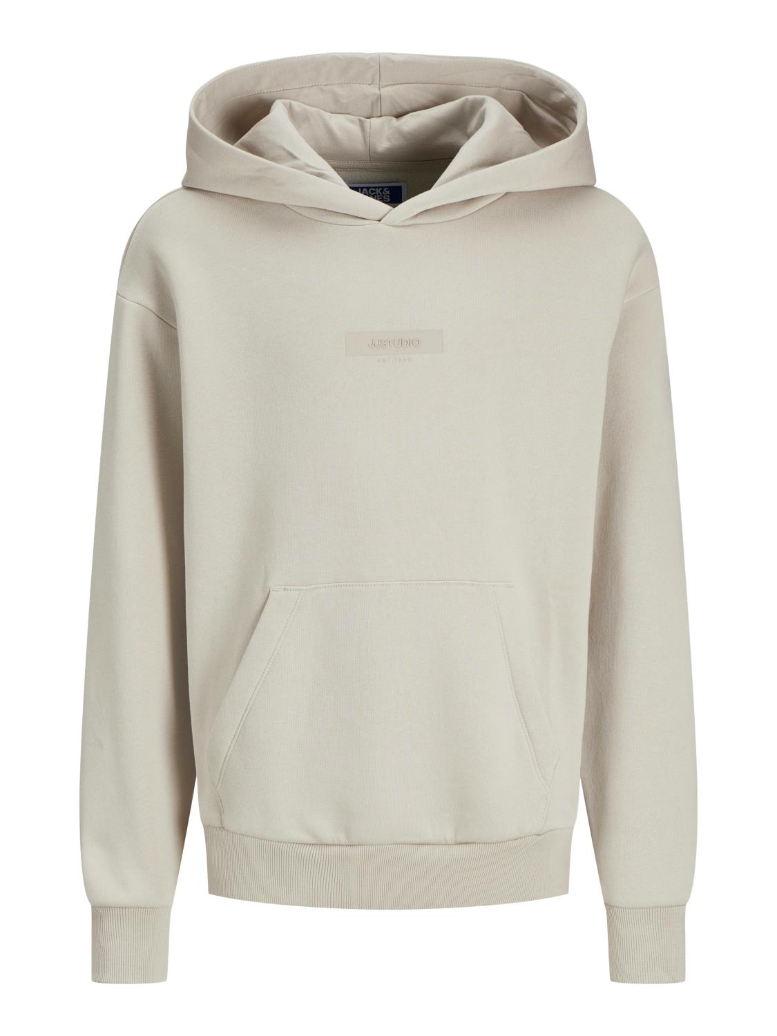 Jack & Jones Hettegenser JJTAKA SWEAT HOOD Moonbeam