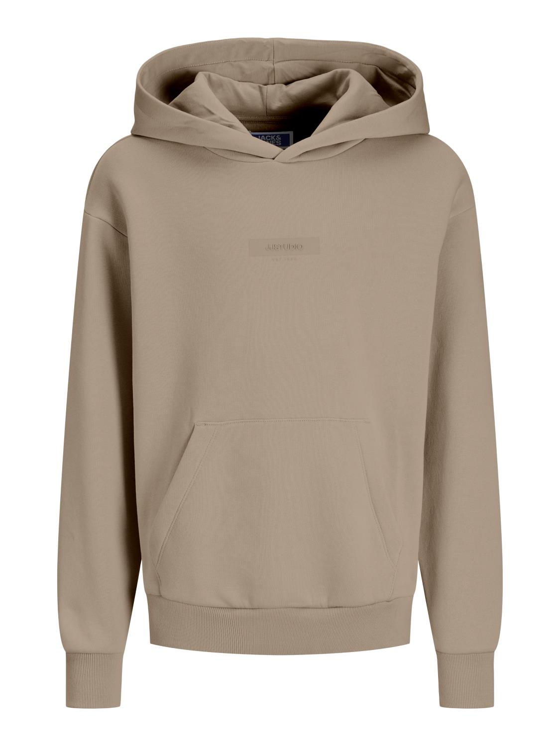 Jack & Jones Hettegenser JJTAKA SWEAT HOOD Coriander