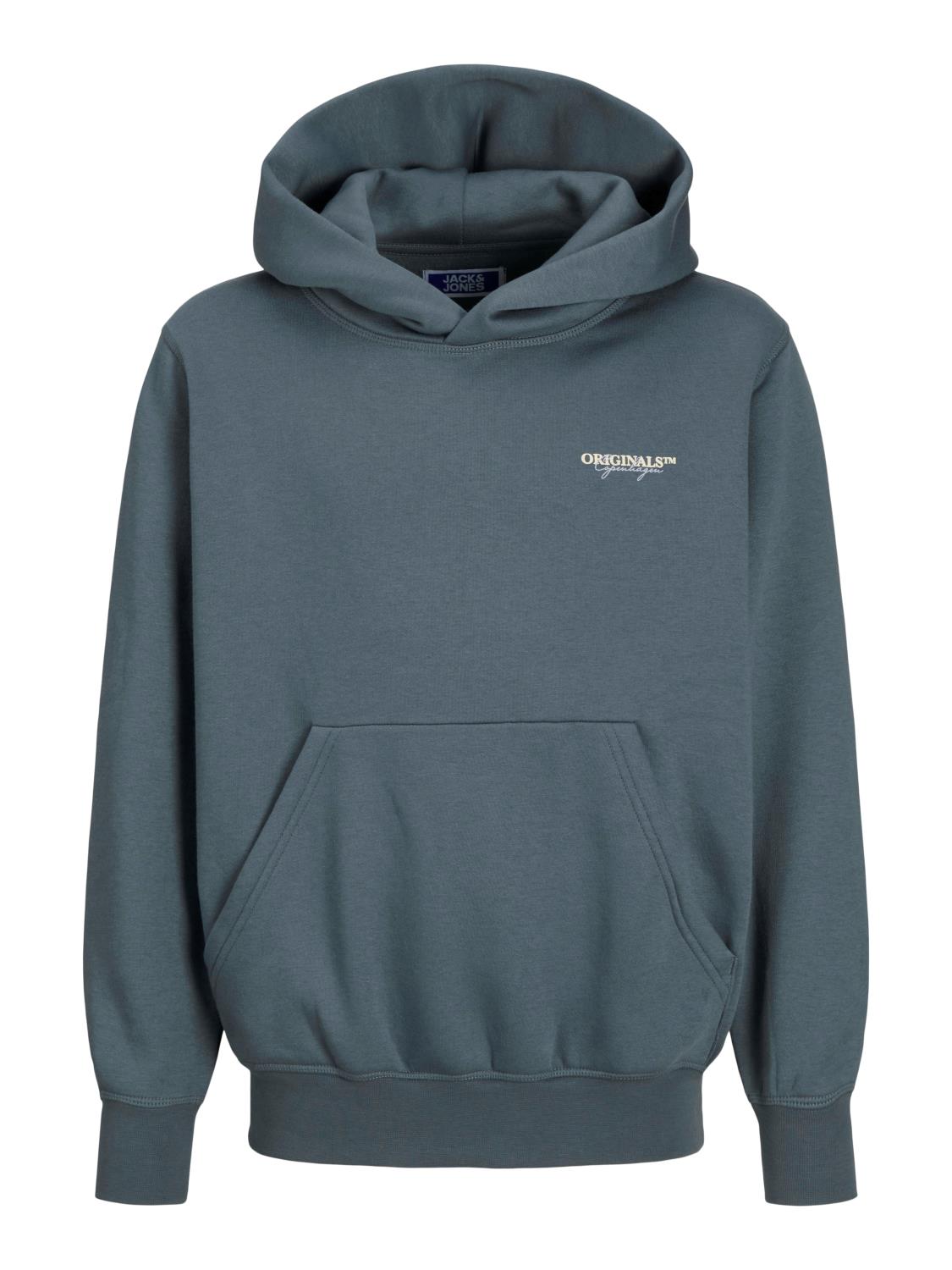 Jack & Jones Hettegenser JORISLINGTON BACK SWEAT HOOD Stormy Weather