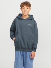 gallery-11186-for-121251