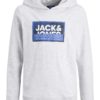 Jack & Jones Hettegenser JCOLOGAN PRINT SWEAT HOOD White Melange