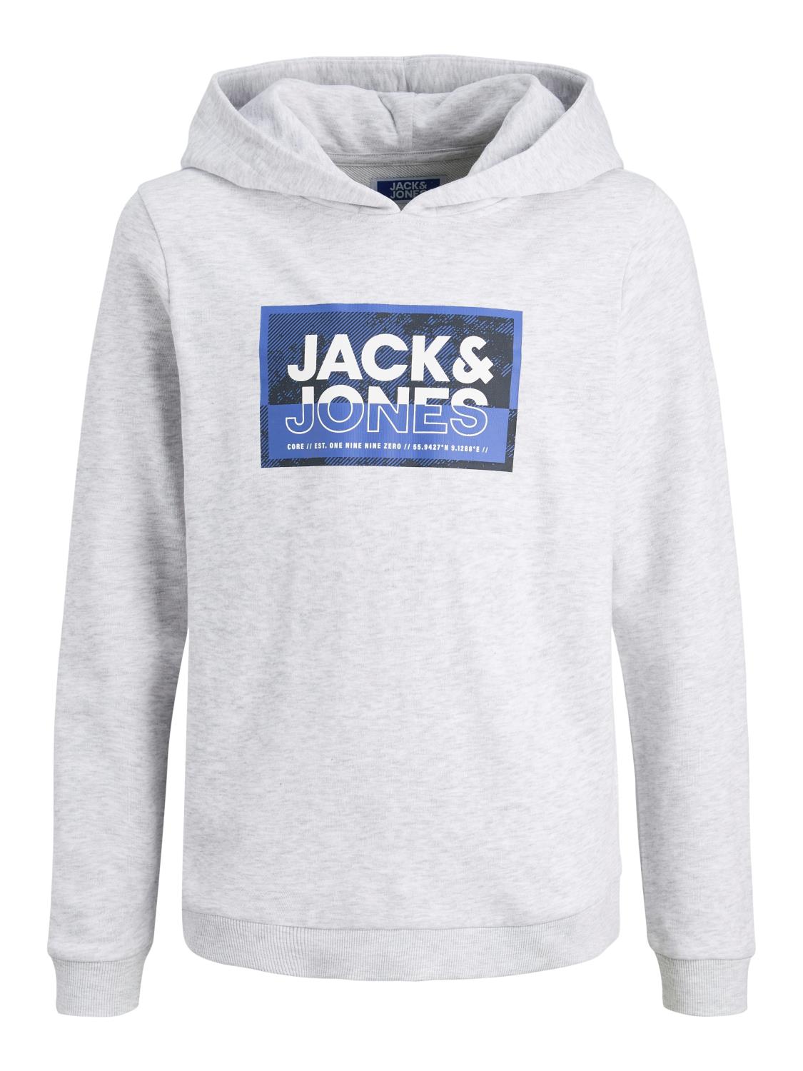 Jack & Jones Hettegenser JCOLOGAN PRINT SWEAT HOOD White Melange