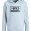 Jack & Jones Hettegenser JCOLOGAN PRINT SWEAT HOOD Subdued Blue