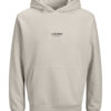 Jack & Jones Hettegenser JJESOHO SWEAT HOOD Moonbeam