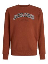 Jack & Jones Genser JJECALEB VARSITY SWEAT CREW Burnt Henna