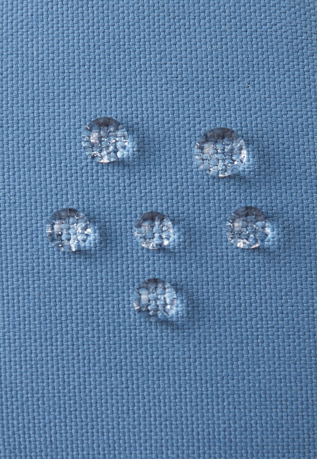 gallery-12192-for-121627