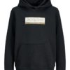Jack & Jones Hettegenser JORINWOOD BLOCK BRANDING SWEAT HOOD Black
