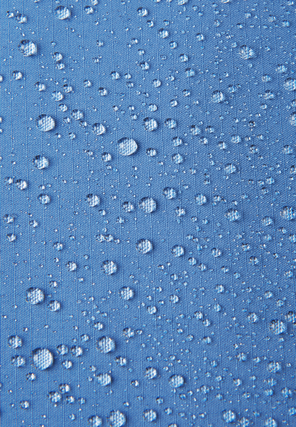 gallery-12271-for-121639