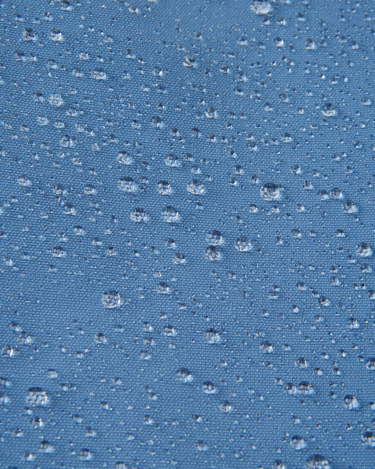 gallery-12318-for-121647