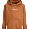Jack & Jones Hettegenser JORNORREBRO SWEAT HOOD Argan Oil