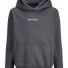 Jack & Jones Hettegenser JORNORREBRO SWEAT HOOD Asphalt
