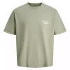 Jack & Jones T-Skjorte JORNORREBRO TYPO TEE SS CREW NECK Seagrass