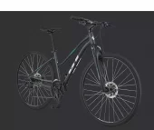 GT  Transeo Comp W