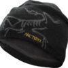 ArcTeryx  Bird Head Toque