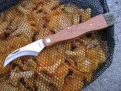 Eagle Products  Sopp-plukk sett