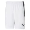 Puma  Teamliga Shorts