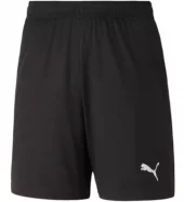 Puma  teamGOAL 23 knit Shorts jr