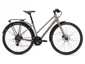 Giant 24 Alight 2 City Disc