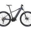 Giant Fathom E+ 2 29er